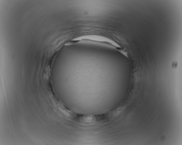 X0000111030325200907091551