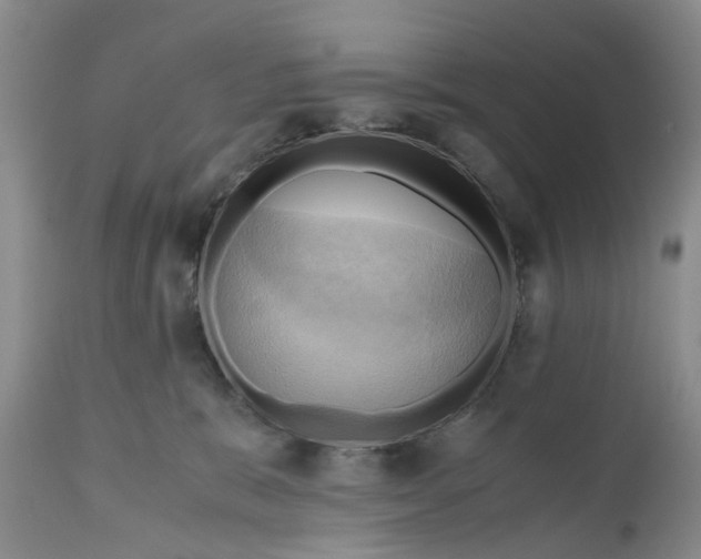 X0000111030327200907091551