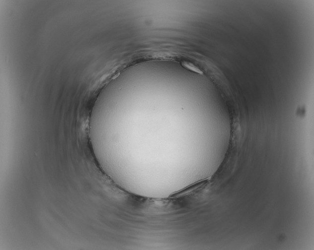 X0000111030329200907091551