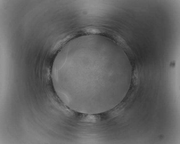 X0000111030330200907091551