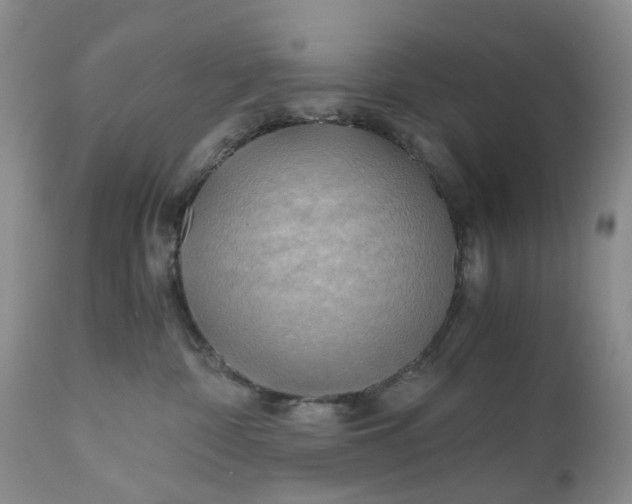 X0000111030332200907091551