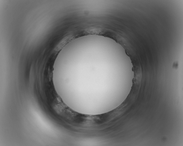 X0000111030334200907091551