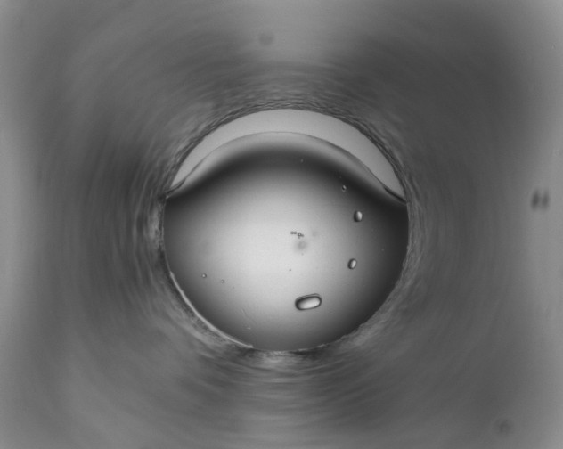 X0000111030336200907091551