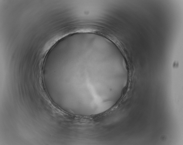 X0000111030337200907091550