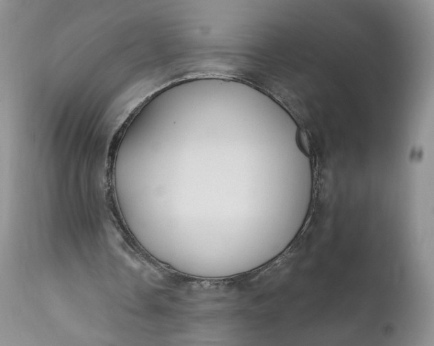 X0000111030338200907091550