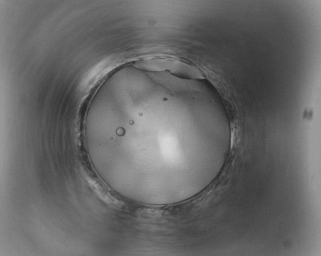 X0000111030339200907091550