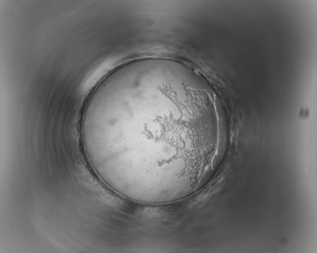 X0000111030341200907091550