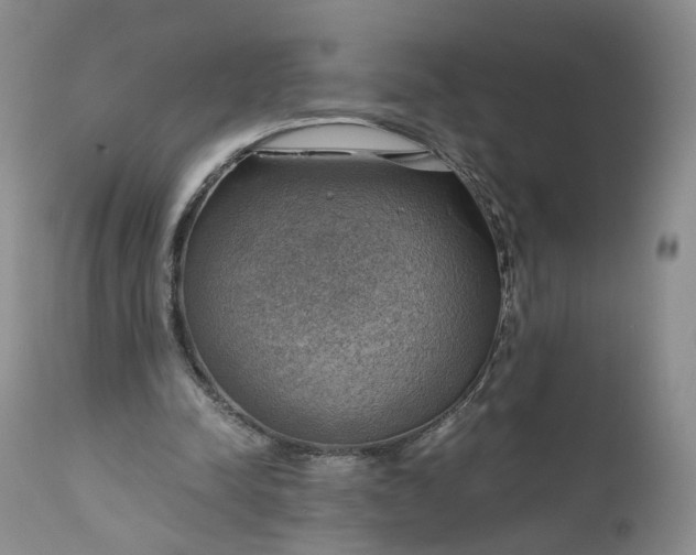 X0000111030342200907091550