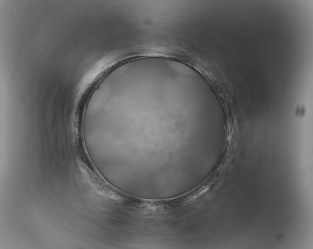 X0000111030343200907091550