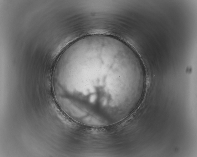 X0000111030345200907091550