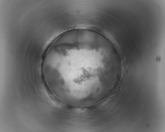 X0000111030346200907091550