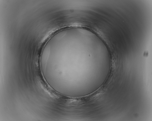 X0000111030347200907091550