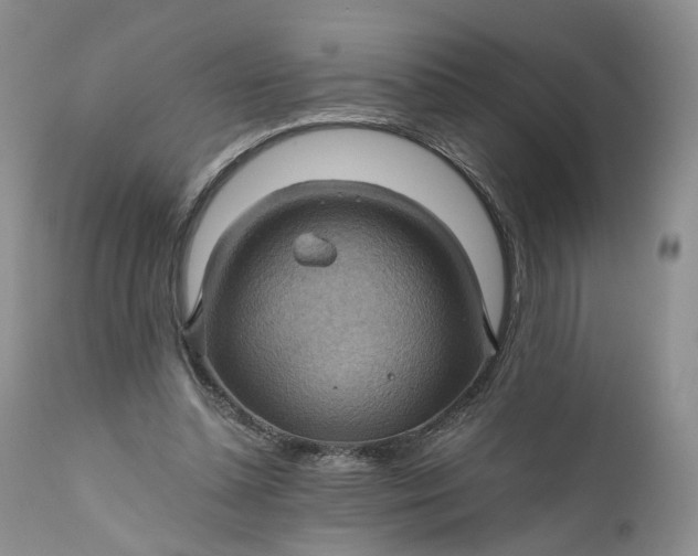 X0000111030348200907091550