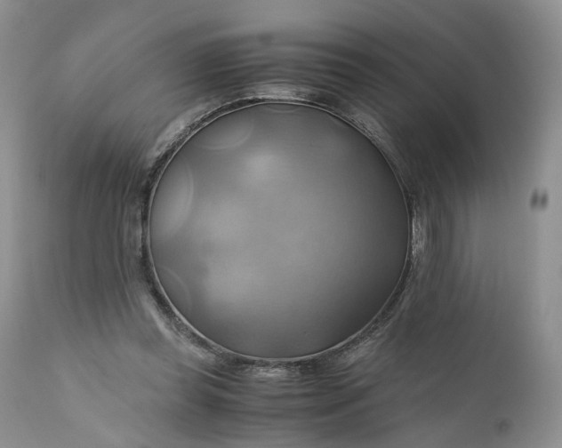 X0000111030349200907091550