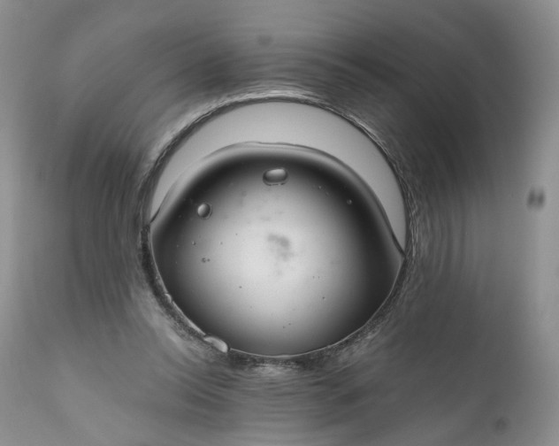 X0000111030350200907091550