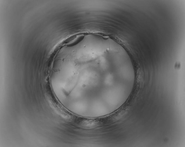 X0000111030351200907091550