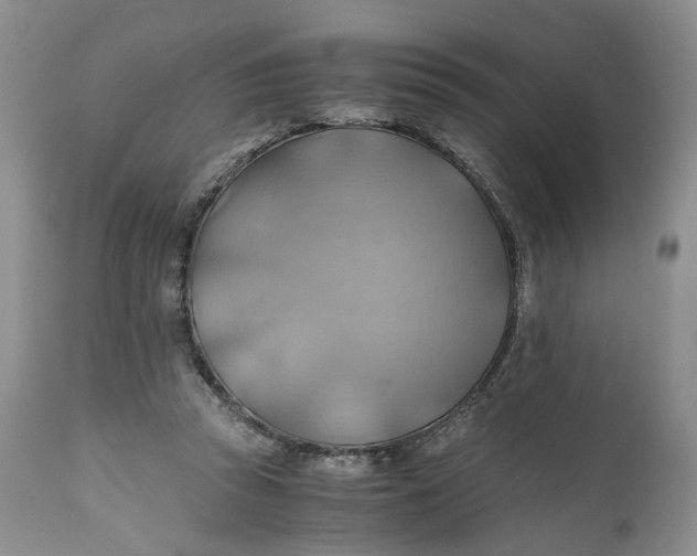 X0000111030353200907091550
