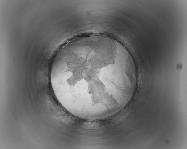 X0000111030354200907091550