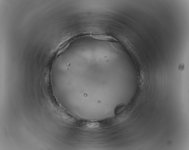 X0000111030355200907091550