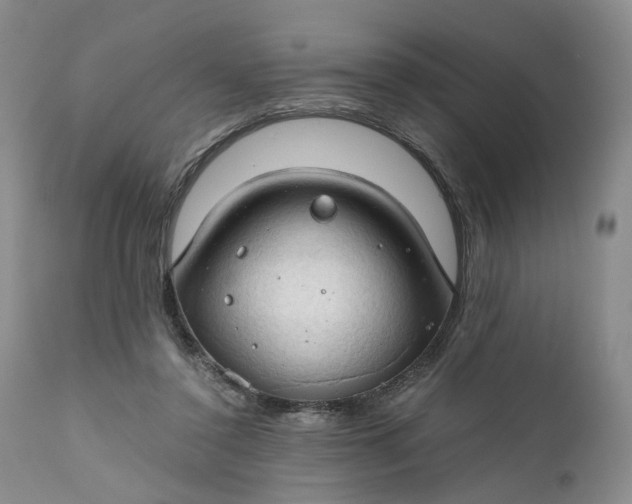 X0000111030356200907091550
