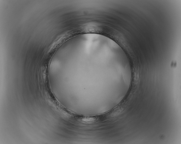 X0000111030357200907091550
