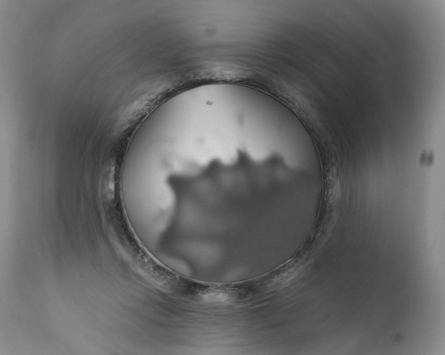 X0000111030358200907091550