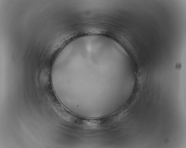 X0000111030359200907091550