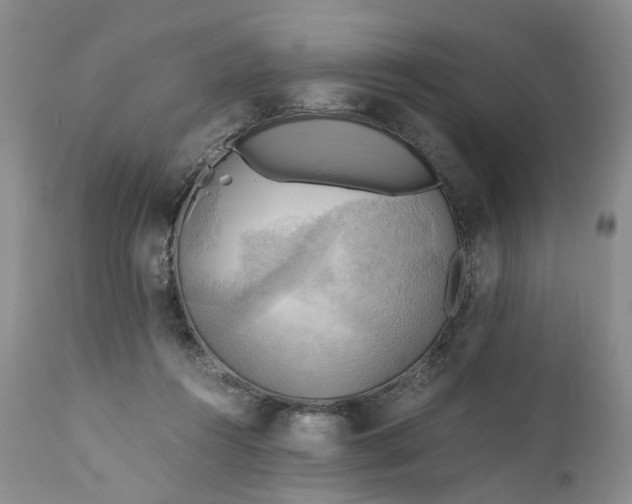 X0000111030360200907091550
