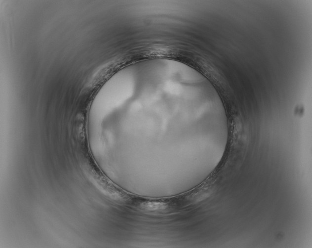 X0000111030361200907091550