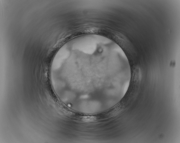X0000111030363200907091550