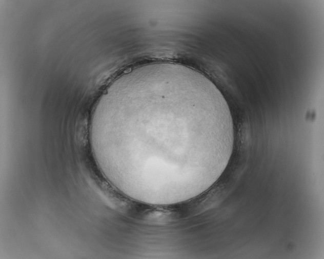 X0000111030364200907091550