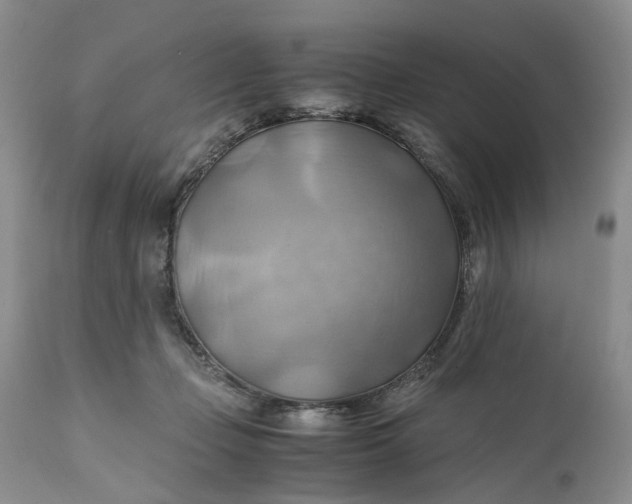 X0000111030365200907091550
