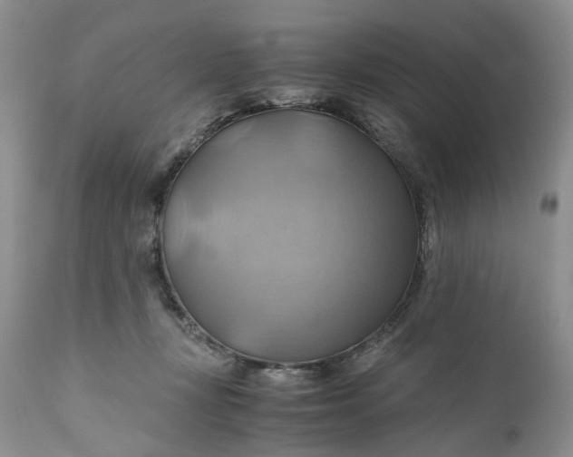 X0000111030367200907091550