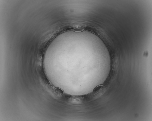 X0000111030368200907091550