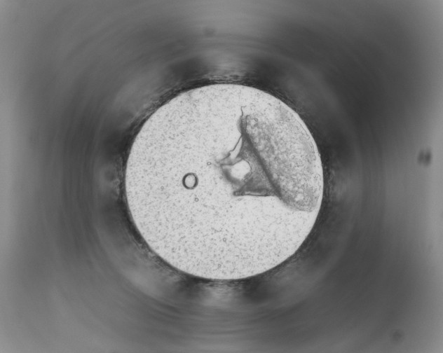 X0000111030370200907091550