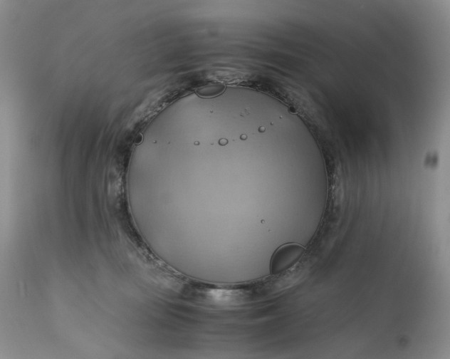 X0000111030371200907091550