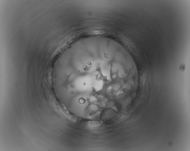 X0000111030373200907091550