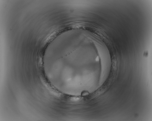 X0000111030375200907091550