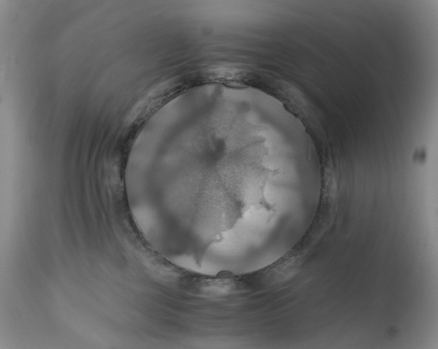 X0000111030377200907091550