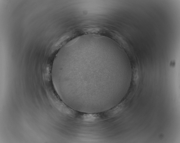 X0000111030378200907091550