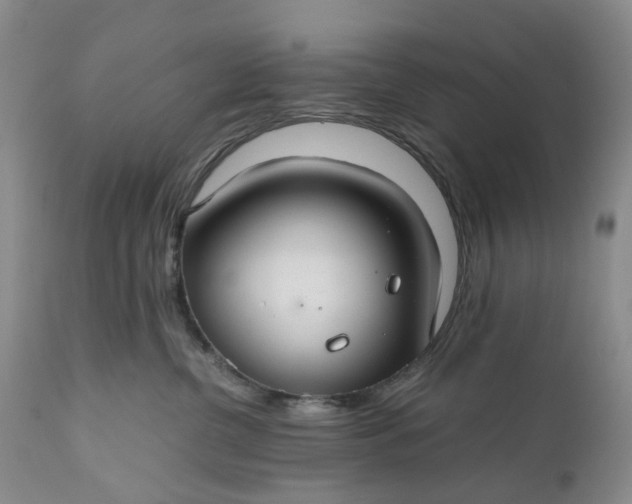 X0000111030380200907091550