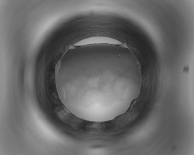 X0000111030383200907091550