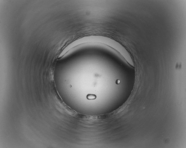 X0000111030384200907091550