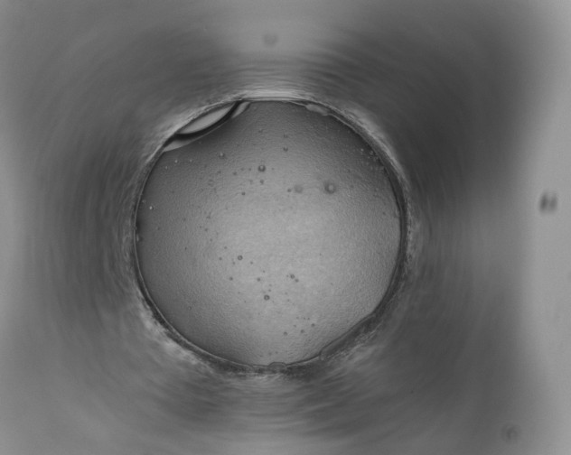 X0000111030385200907091550