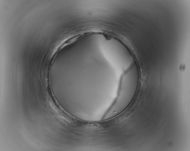 X0000111030386200907091550