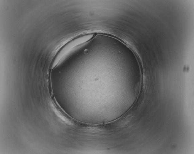 X0000111030389200907091550