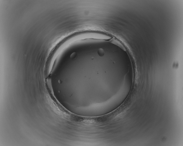 X0000111030391200907091550