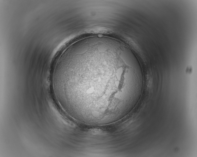 X0000111030392200907091550
