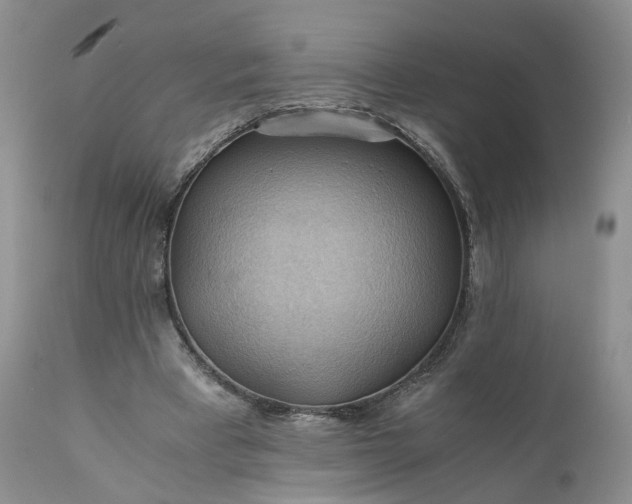 X0000111030393200907091550