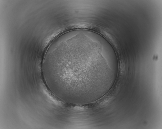 X0000111030394200907091550